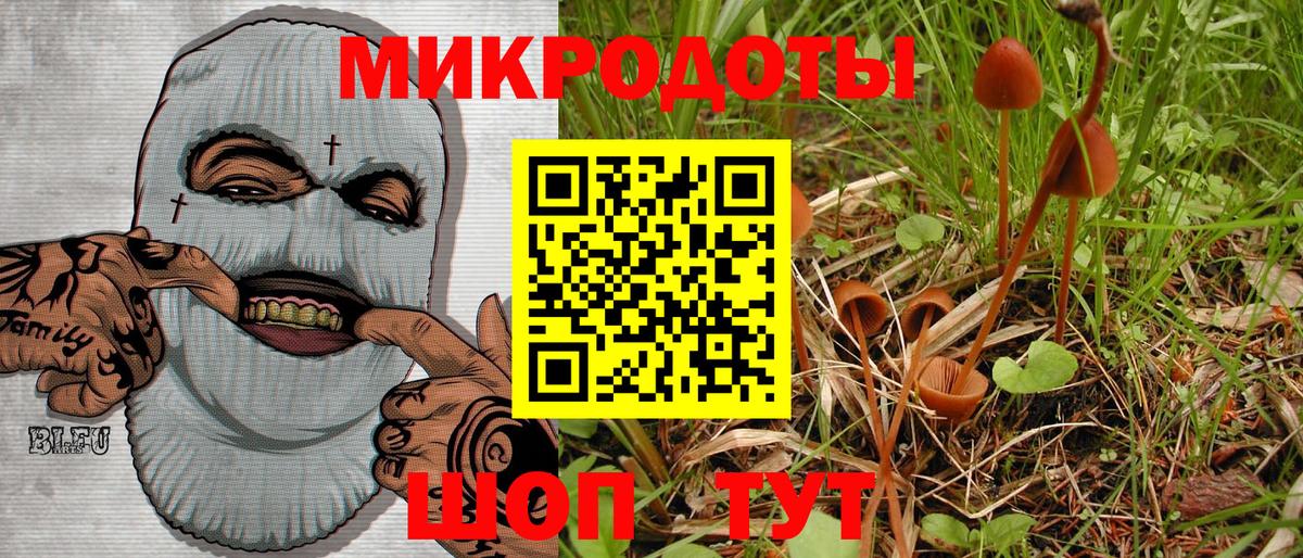 даркнет сайт  Псилоцибиновые грибы мухоморы  Вход с VPN  Нижнеудинск 